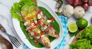 Healthy Dinner Ideas with Fish, Delicious and Easy to Make