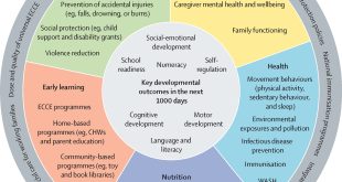 Early pregnancy nutrition influences child's motor development at 5-6 years old