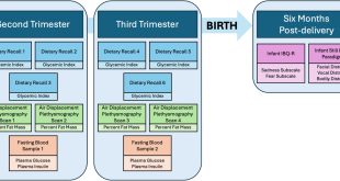 Study Confirms Link Between Maternal Diet and Risk to Infant Behavioral Health