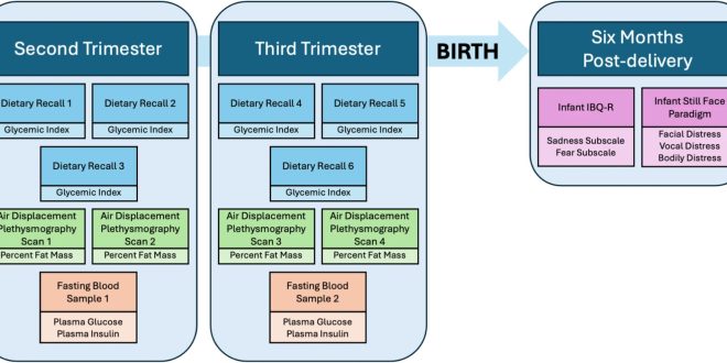 Study Confirms Link Between Maternal Diet and Risk to Infant Behavioral Health