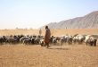 Afghanistan's Children Urgent Need for Accelerated Nutrition Action