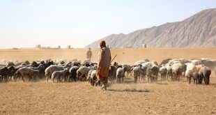 Afghanistan's Children Urgent Need for Accelerated Nutrition Action