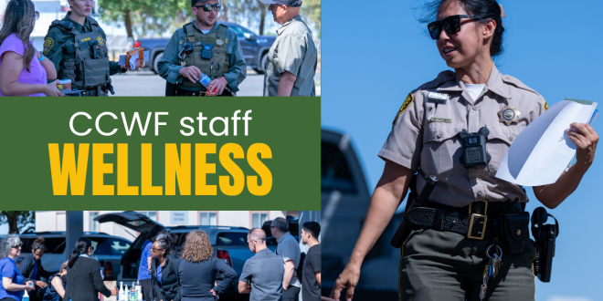 CCWF Focuses on Staff Health, Wellness