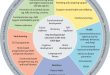 Early pregnancy nutrition affects child's motor development at age 5-6