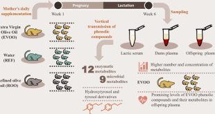 Extra Virgin Olive Oil Intake During Pregnancy Boosts Antioxidants in Breast Milk and Infants