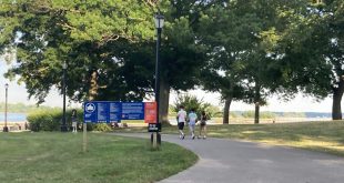 Health Check Summer Health and Wellness Events in The Bronx