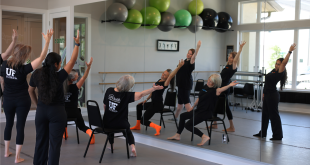 Health event combines dancing and wellness expo.