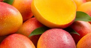 How Healthy Are Mangoes?