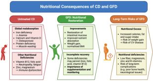 Increased Calcium and Zinc Consumption Associated with Improved Pregnancy Results
