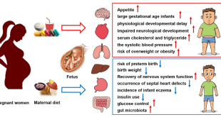 Study Links Diet Drink Consumption During Pregnancy to Increased Overweight Risk in Offspring