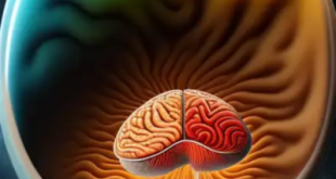 Ancient Roots Offer Wellness, Mitochondrial Health Benefits