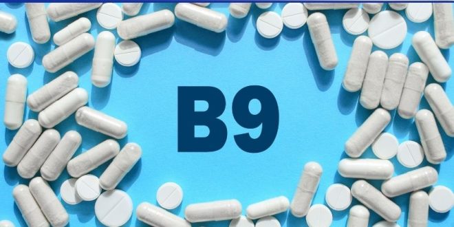 Applications of Vitamin B9 An Essential Nutrient Powering Health, Wellness, and Modern Industry