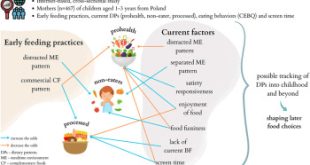 Canadian preschoolers' diets are almost 50% ultra-processed foods Study.