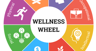 Financial wellness and its positive impact on mental health.