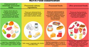 How ultra-processed foods dominated the infant and toddler food industry.