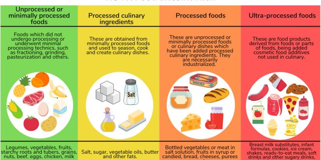 How ultra-processed foods dominated the infant and toddler food industry.