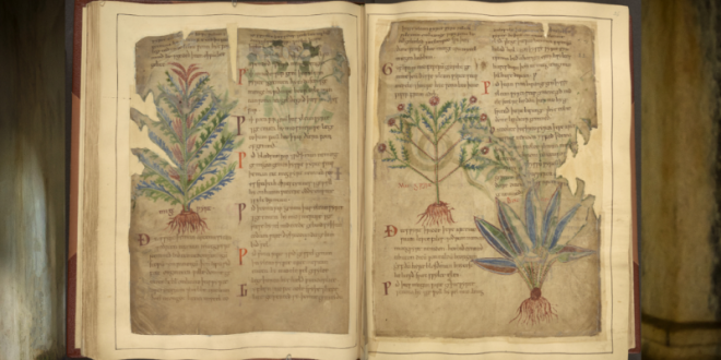Medieval remedies echo modern wellness practices.