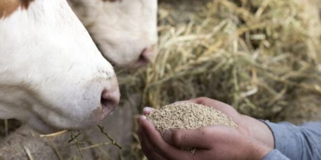 New R&D Center focused on animal health and wellness opened by ADM