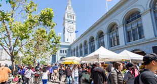 Persimmons and pears the farmers’ market program getting kids excited to try new foods