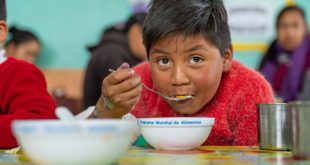 Impact of Child Nutrition on Academic Achievement School Meals as a Poverty Solution
