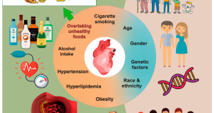 Intermittent fasting for 16 hours linked to doubled risk of heart disease death, study finds Experts detail risks.