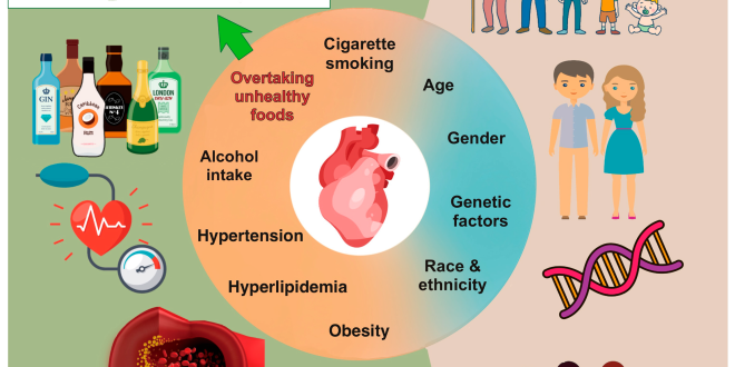 Intermittent fasting for 16 hours linked to doubled risk of heart disease death, study finds Experts detail risks.