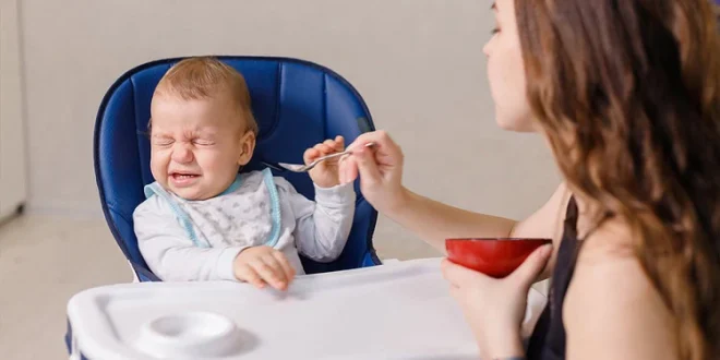 Picky Eating in Kids New Study Blames Parents, Not Parenting Styles