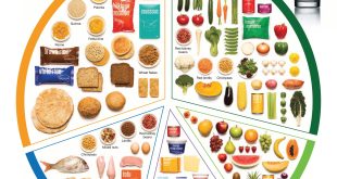 Reducing Junk Food Consumption in Children's Diets A Guide to When to Act and When to Relax