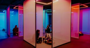 Wellness experiences in the attractions industry top picks and ideas