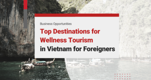 Ho Chi Minh City, Vietnam Tapping into Medical and Wellness Tourism Potential