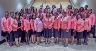 Local Sorority Plans Health and Wellness Fair