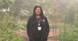Milwaukee Native Wellness Garden promotes health, well-being