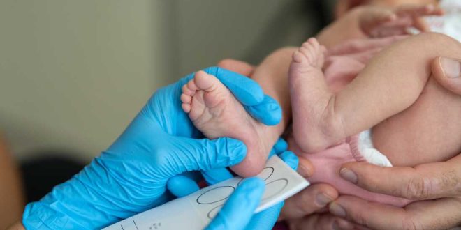 Morning Checkup | Hepatitis B vaccine recommendation for newborns potentially changing
