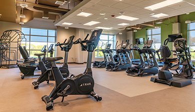 New health and wellness businesses are growing in central Illinois.