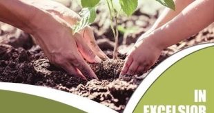 Health, Wellness series unites appreciation, guidance