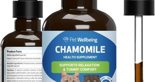 Holistic and Integrative Gut Health Wellness Market Exclusive Report with Detailed Study Analysis