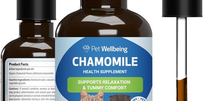 Holistic and Integrative Gut Health Wellness Market Exclusive Report with Detailed Study Analysis