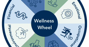Minor in Holistic Wellness Enhances Student Career Well-being