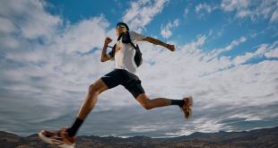 Q3'25 Earnings Roundup Health, Wellness, and Fitness